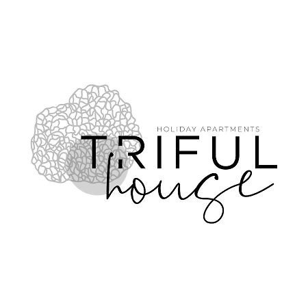 Trifulhouse Holiday Apartments Alba  Exterior photo